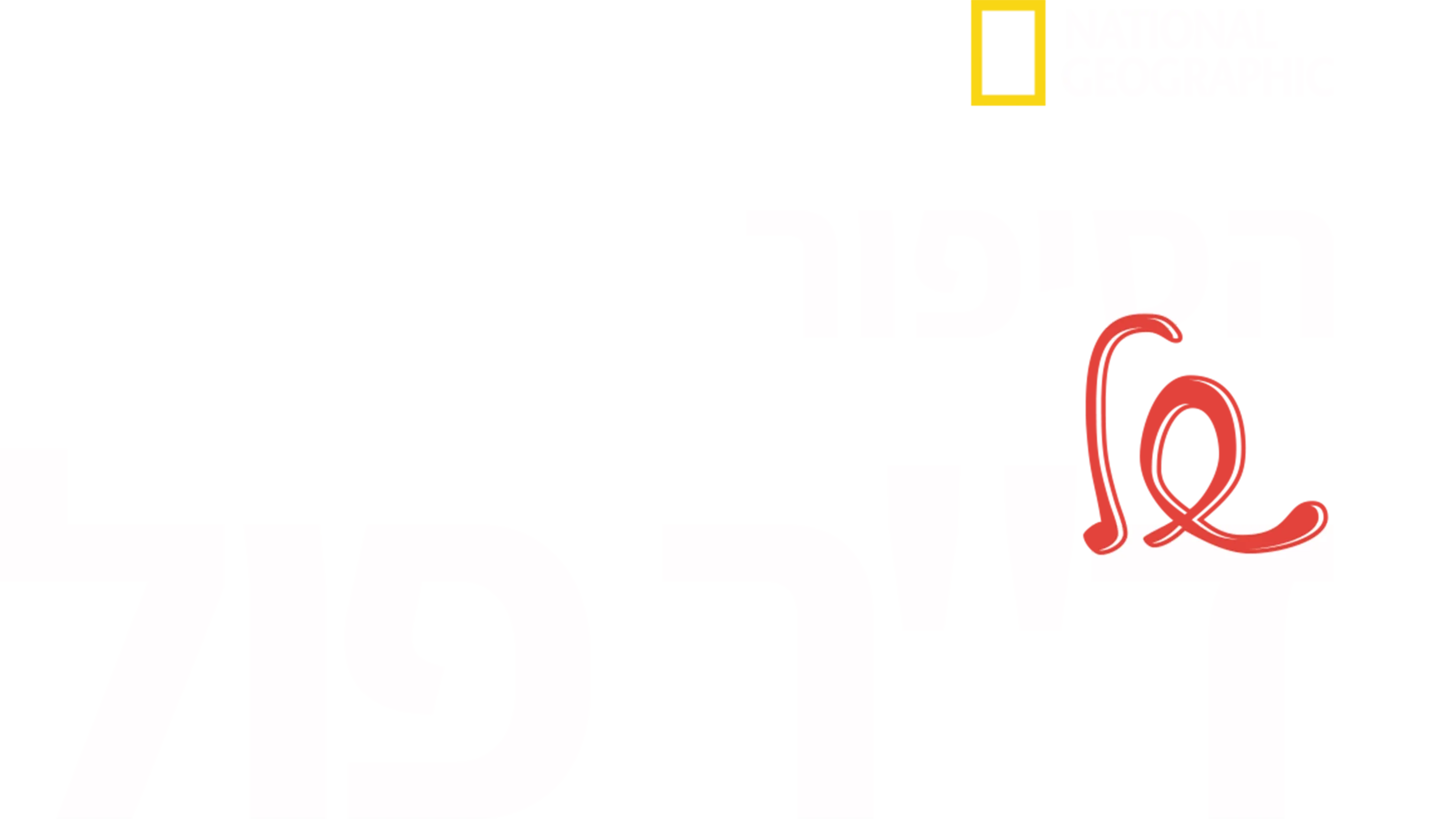 הסיפור של ד"ר פול
