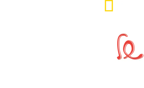 הסיפור של ד"ר פול