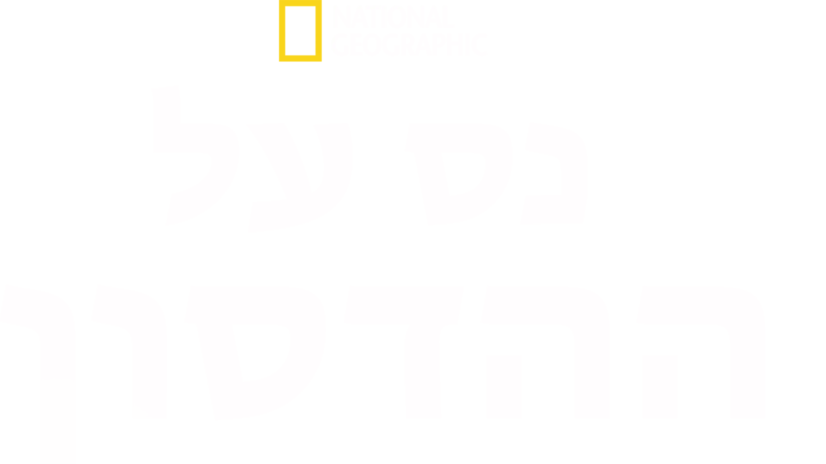 נס על ההדסון