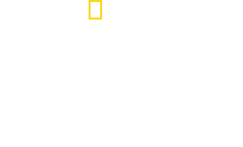 נס על ההדסון