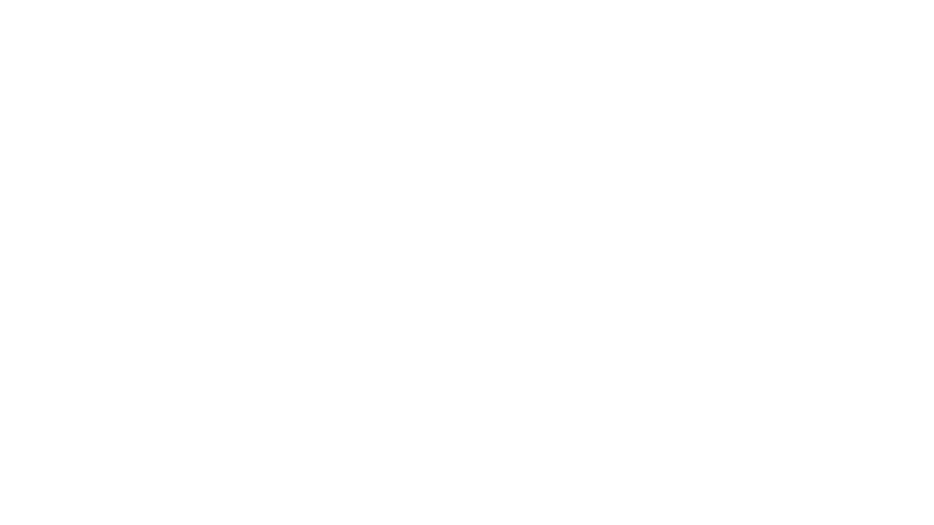 النبيلة والشارد