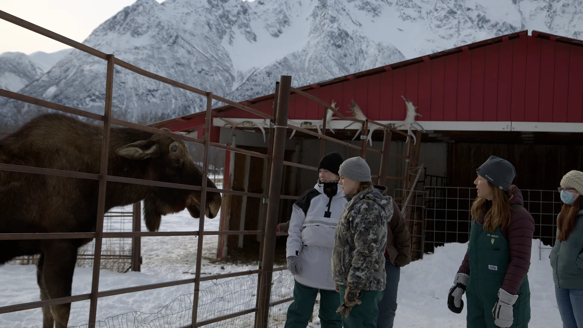 thumbnail - S10:E2 Even If It Quills Me