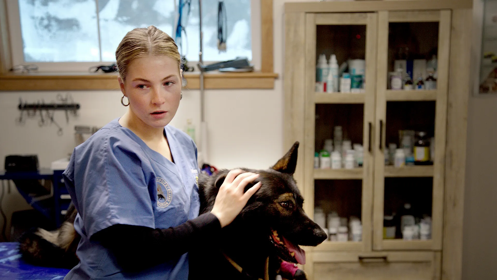 thumbnail - S10:E8 Pups in the Oven
