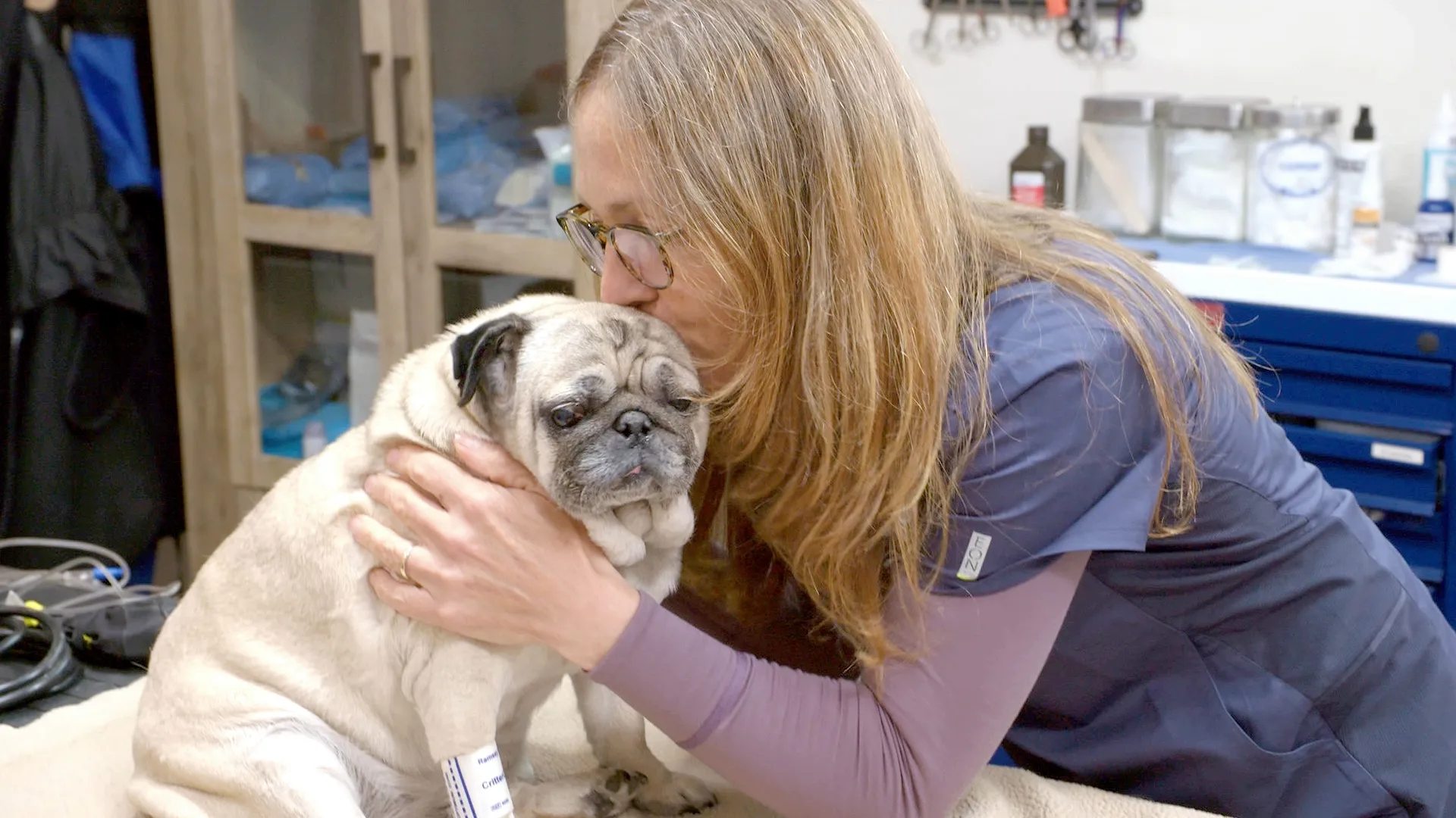 thumbnail - S10:E11 Hug for a Pug