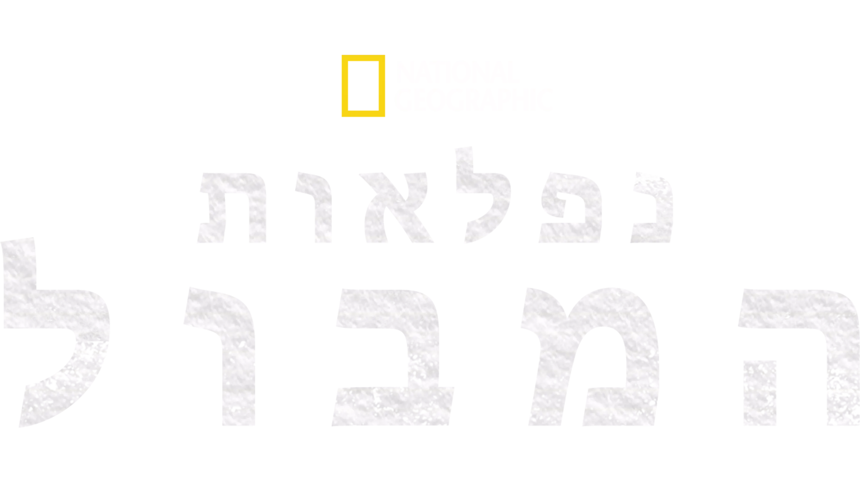 נפלאות המבול