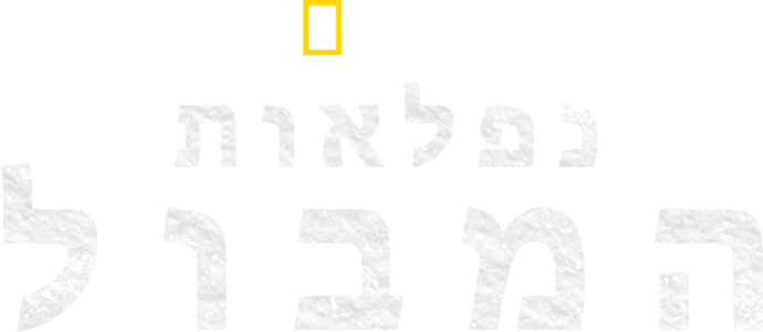נפלאות המבול