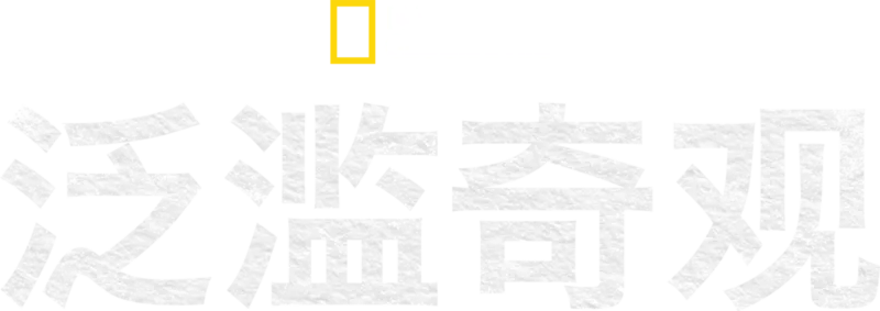 泛滥奇观
