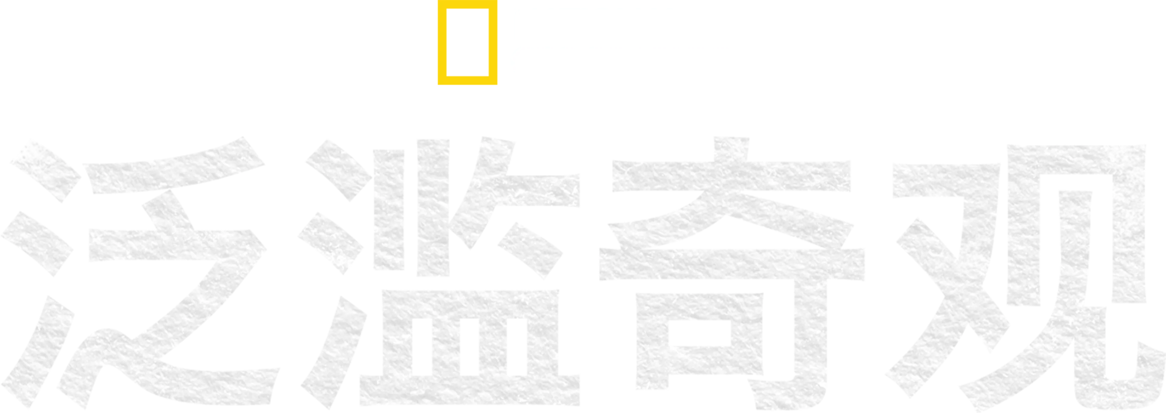 泛滥奇观