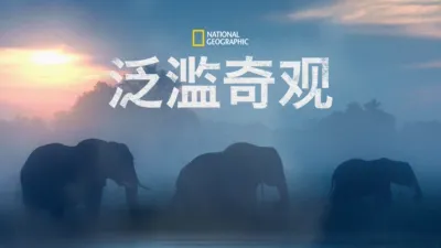 thumbnail - 泛滥奇观