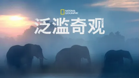 thumbnail - 泛滥奇观