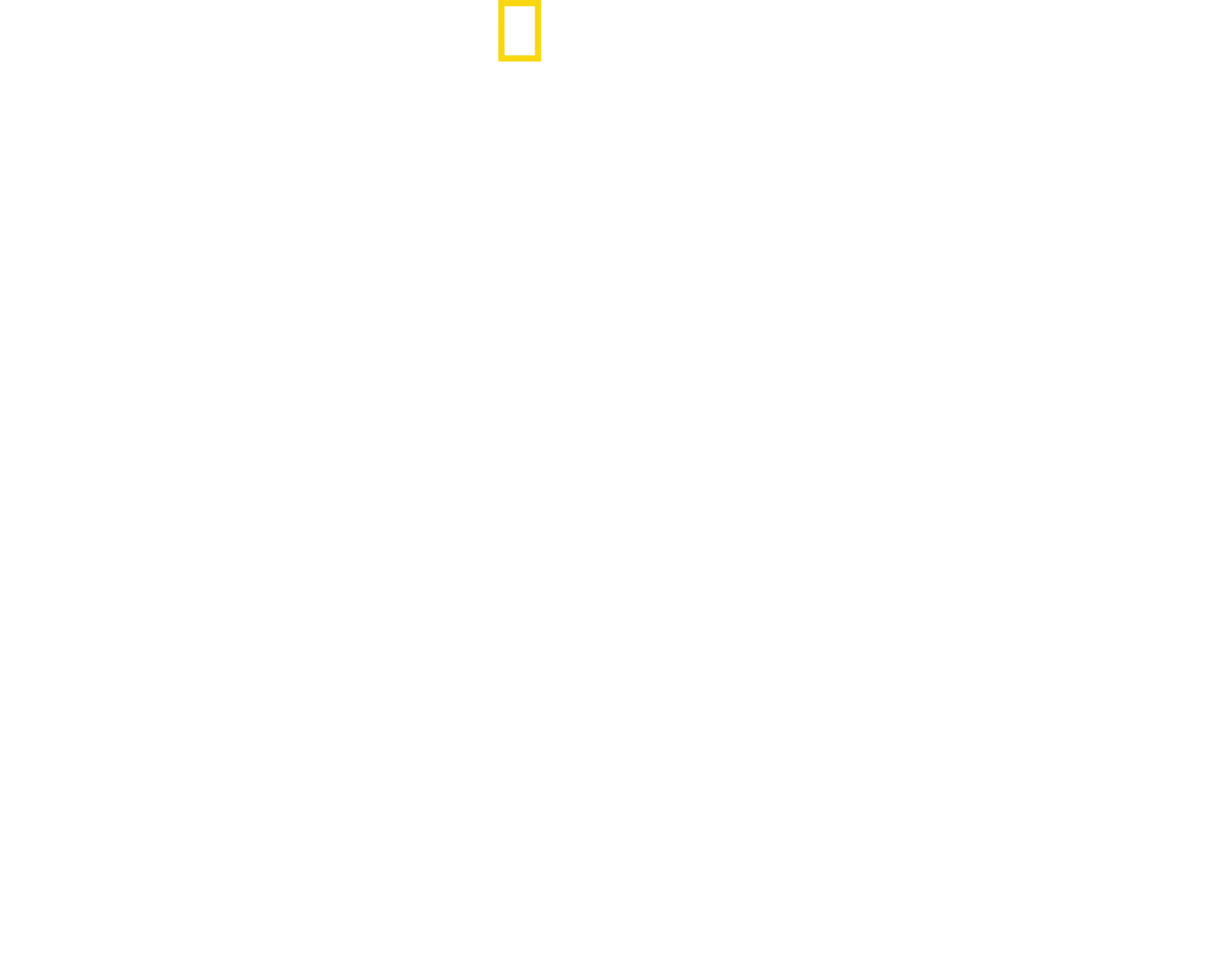 ג'יין