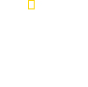 מפריז לפיטסבורג