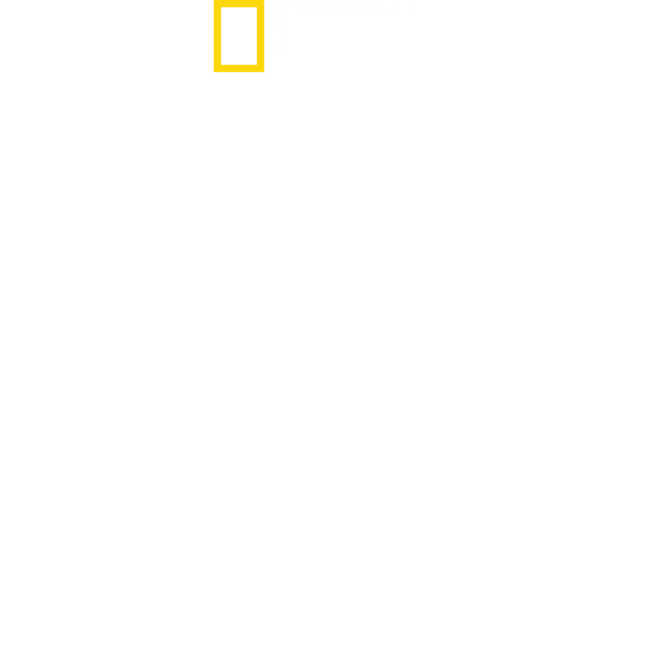 מפריז לפיטסבורג