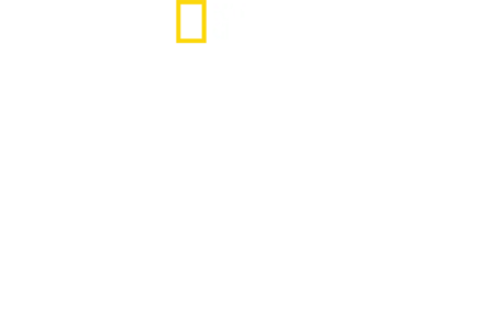 הסיפור של ספייס אקס