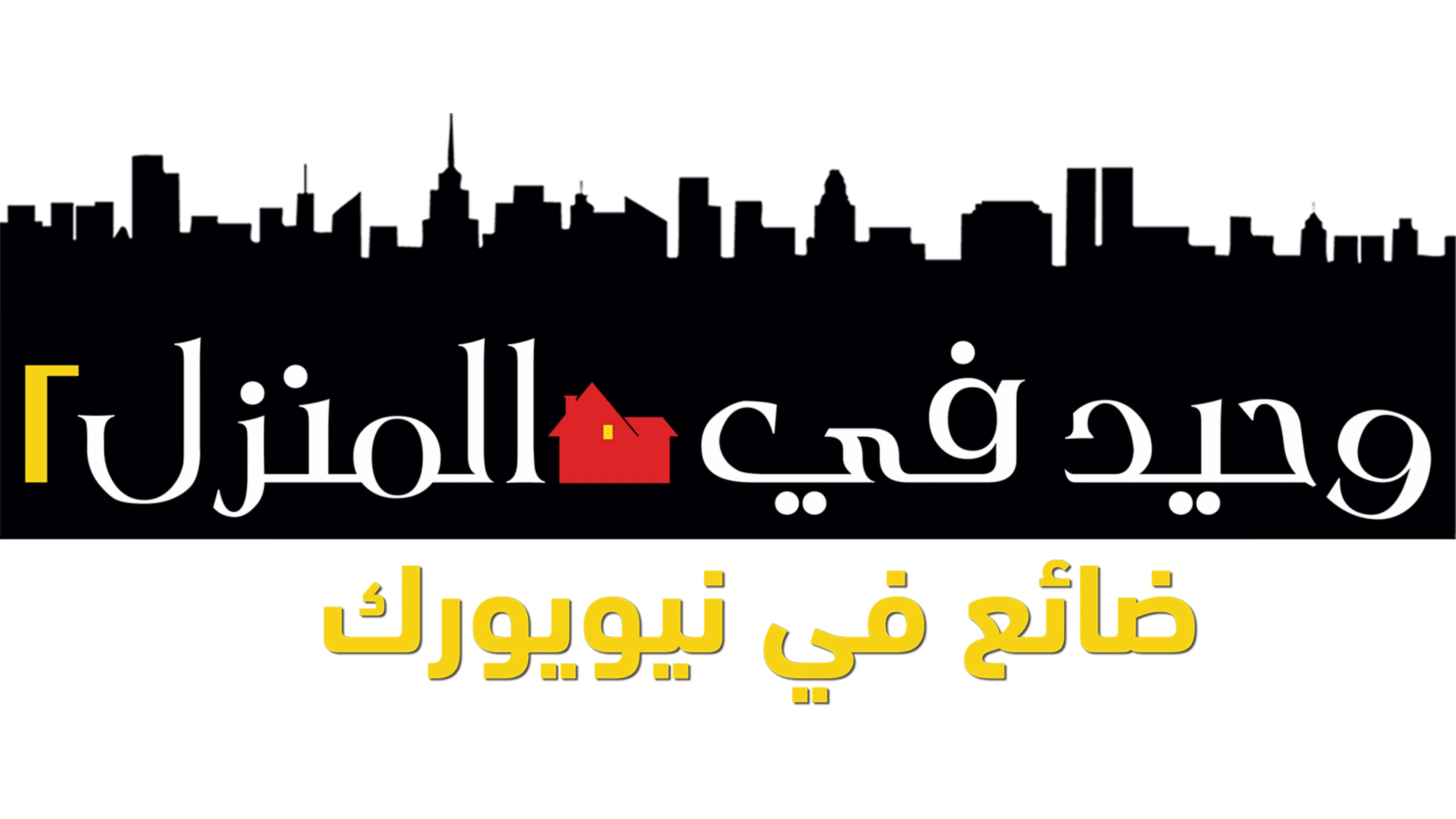 وحيد في المنزل ٢: ضائع في نيويورك