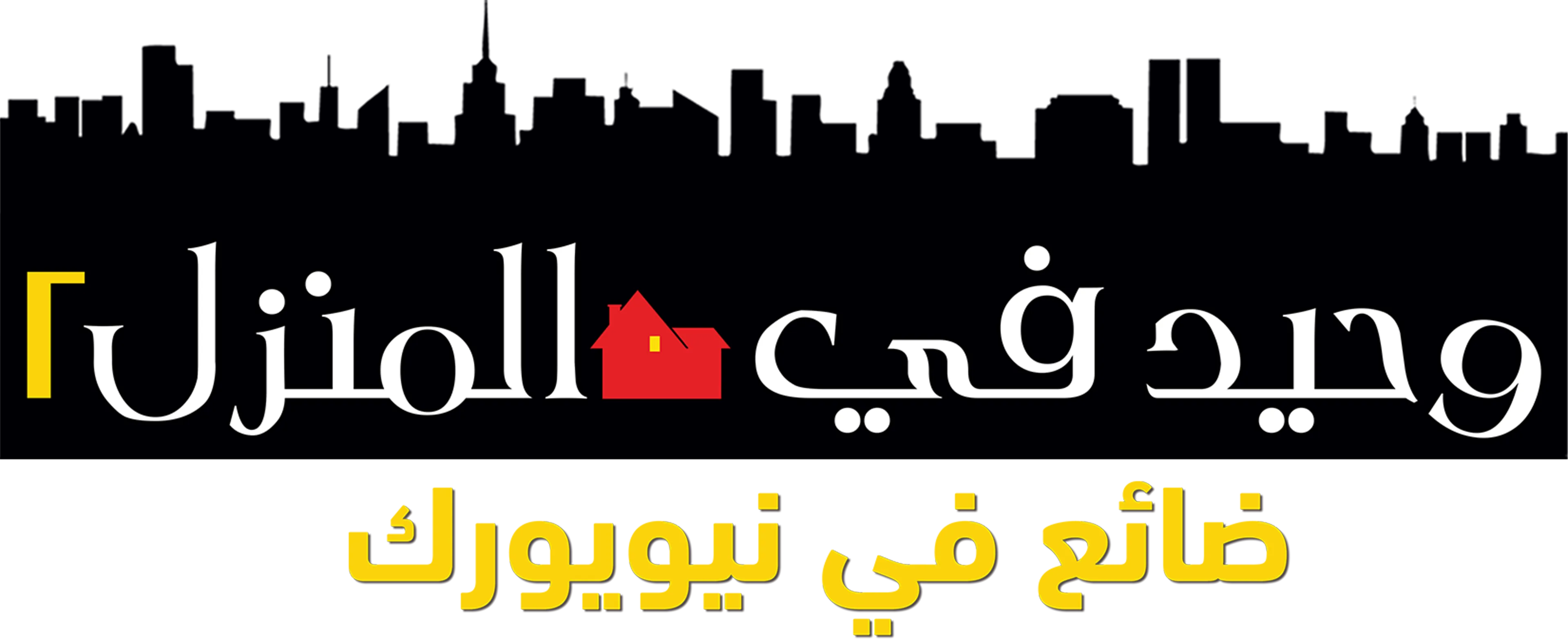 وحيد في المنزل ٢: ضائع في نيويورك