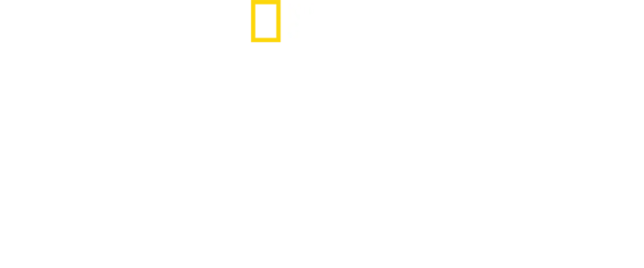 כנפי הפיתוי: ציפורי גן העדן