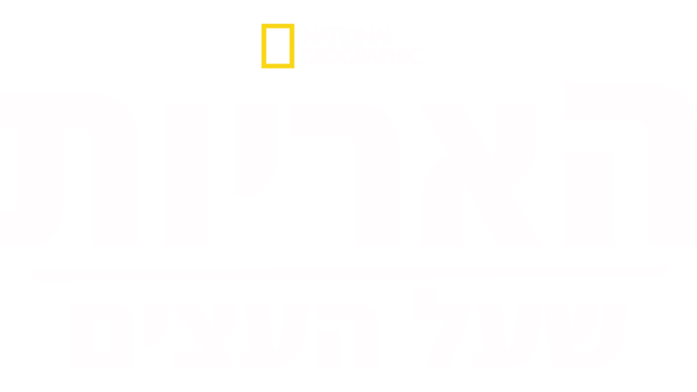 האריות שעל העצים