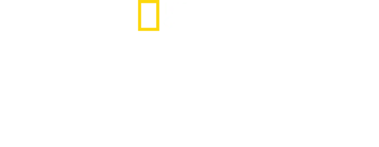 אמיליה ארהארט - התעלומה