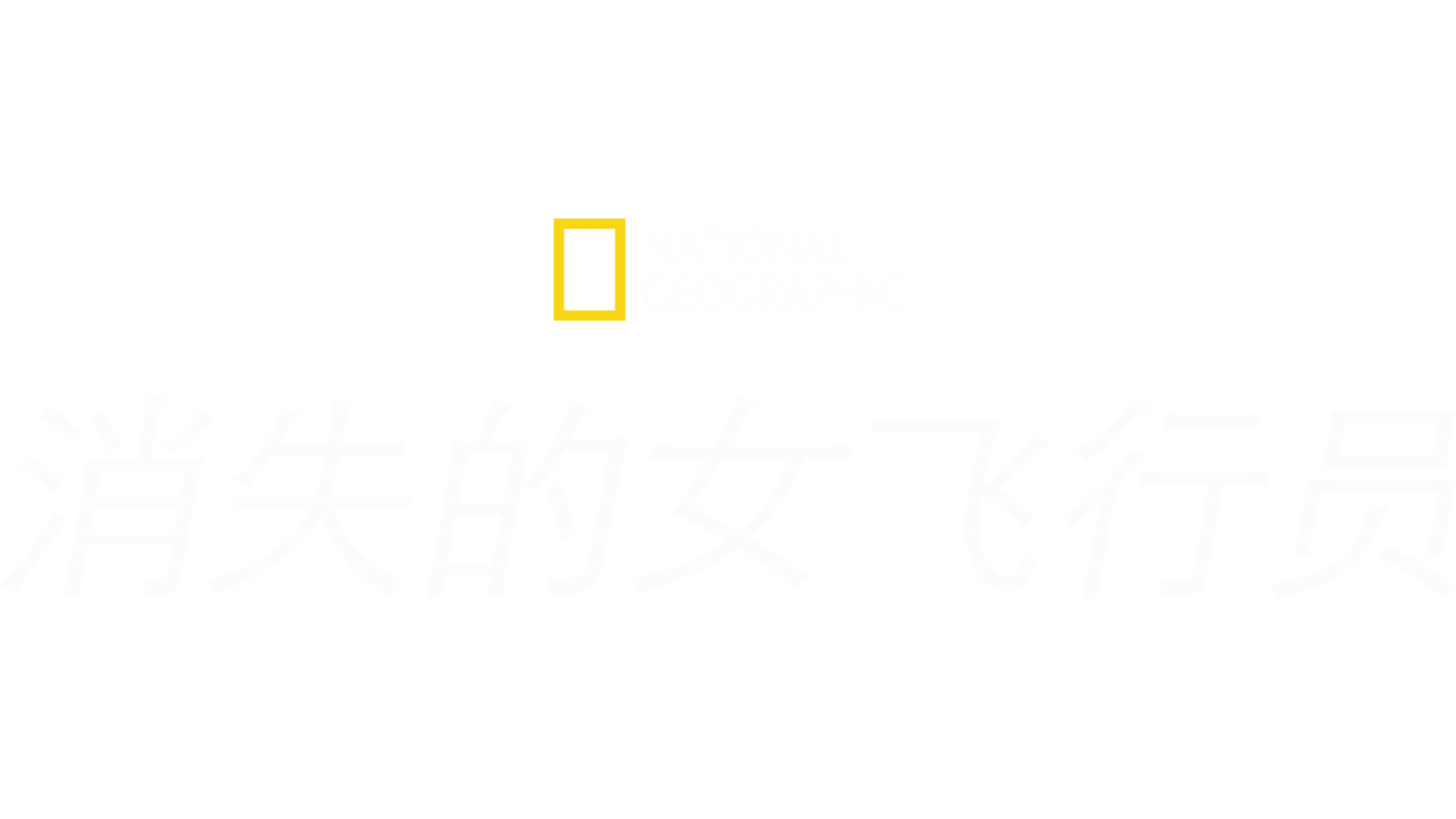 消失的女飞行员