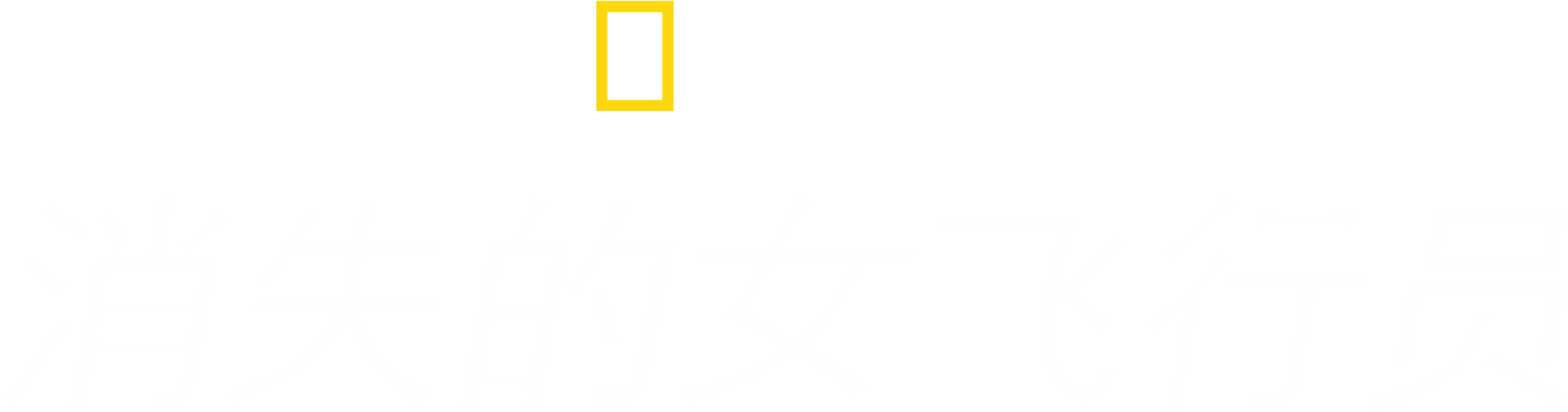 消失的女飞行员