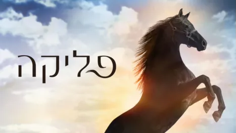 thumbnail - פליקה