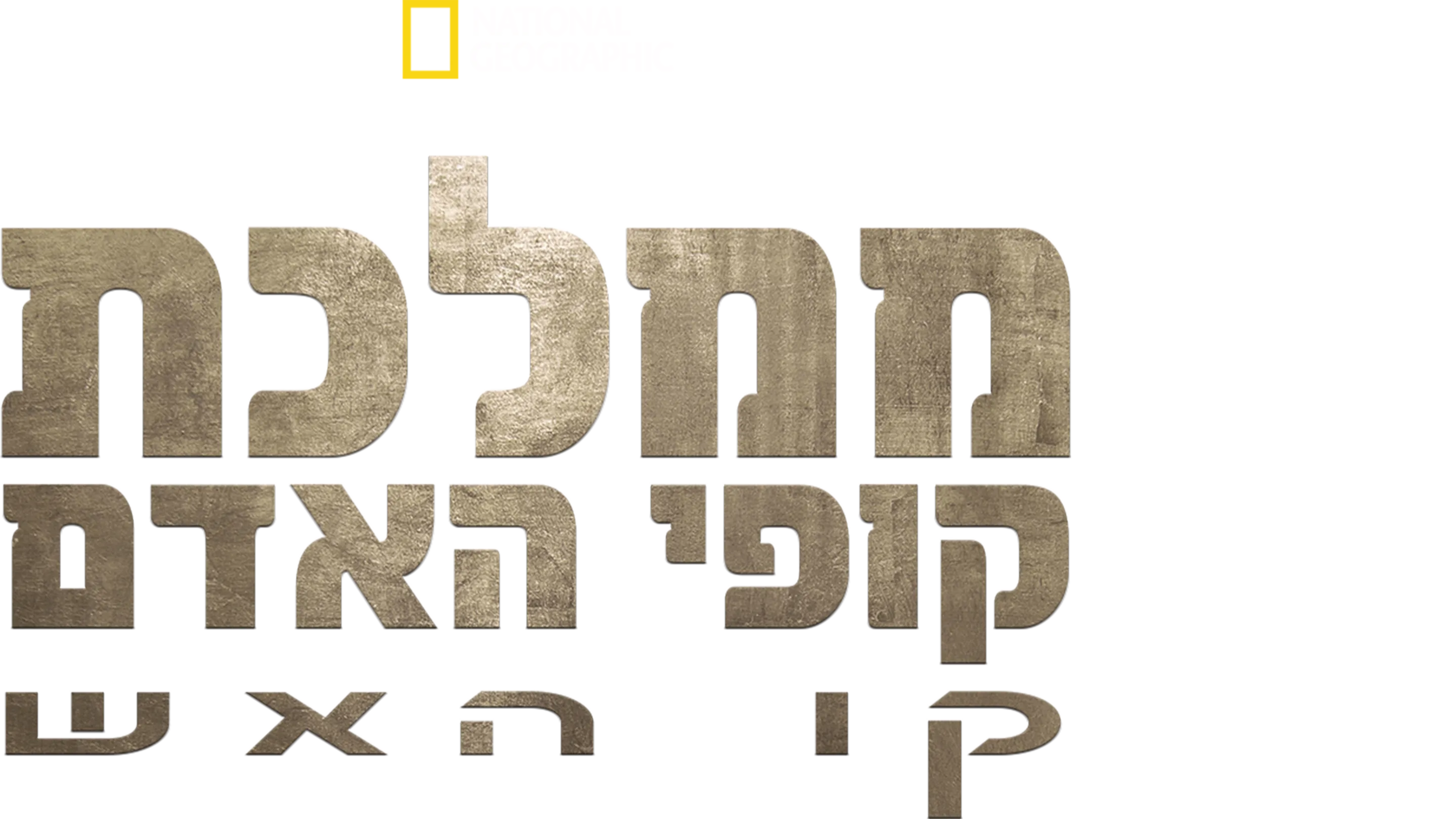 ממלכת קופי האדם: קו האש