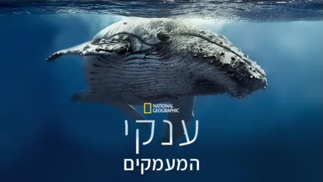 thumbnail - ענקי המעמקים