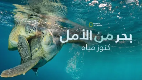thumbnail - بحر من الأمل: كنوز مياه أمريكا