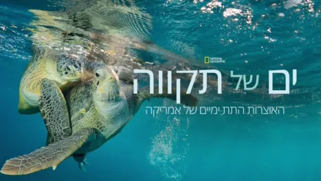 thumbnail - ים של תקווה - האוצרות התת ימיים של אמריקה