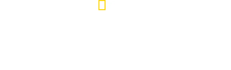 גן עדן באוקינוס השקט