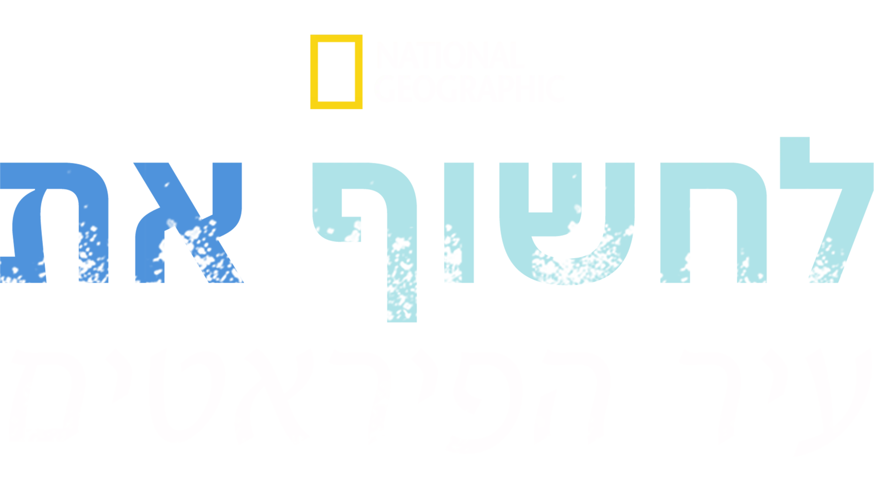 לחשוף את עיר הפיראטים
