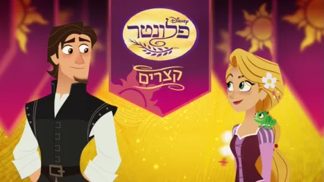 thumbnail - פלונטר - קצרים