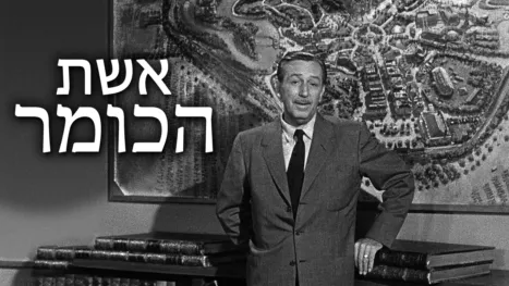 thumbnail - דוח טרום-פתיחה מדיסנילנד