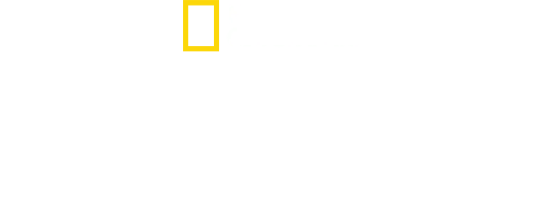גורדון רמזי מבשל הרפתקה
