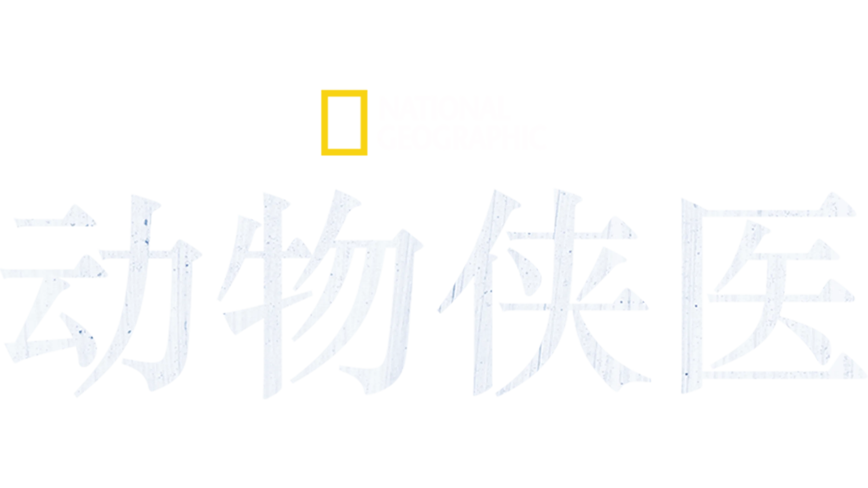 动物侠医