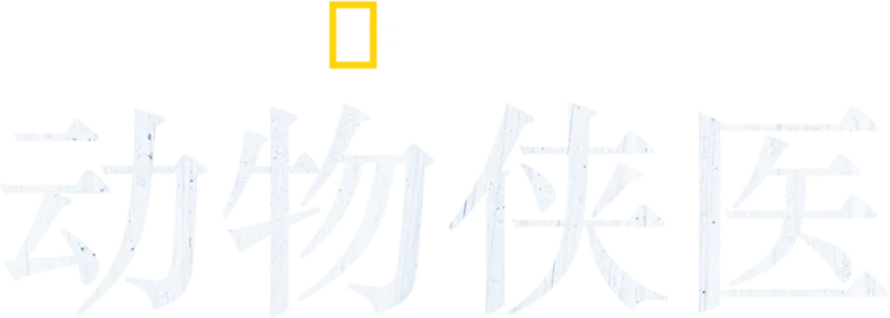 动物侠医