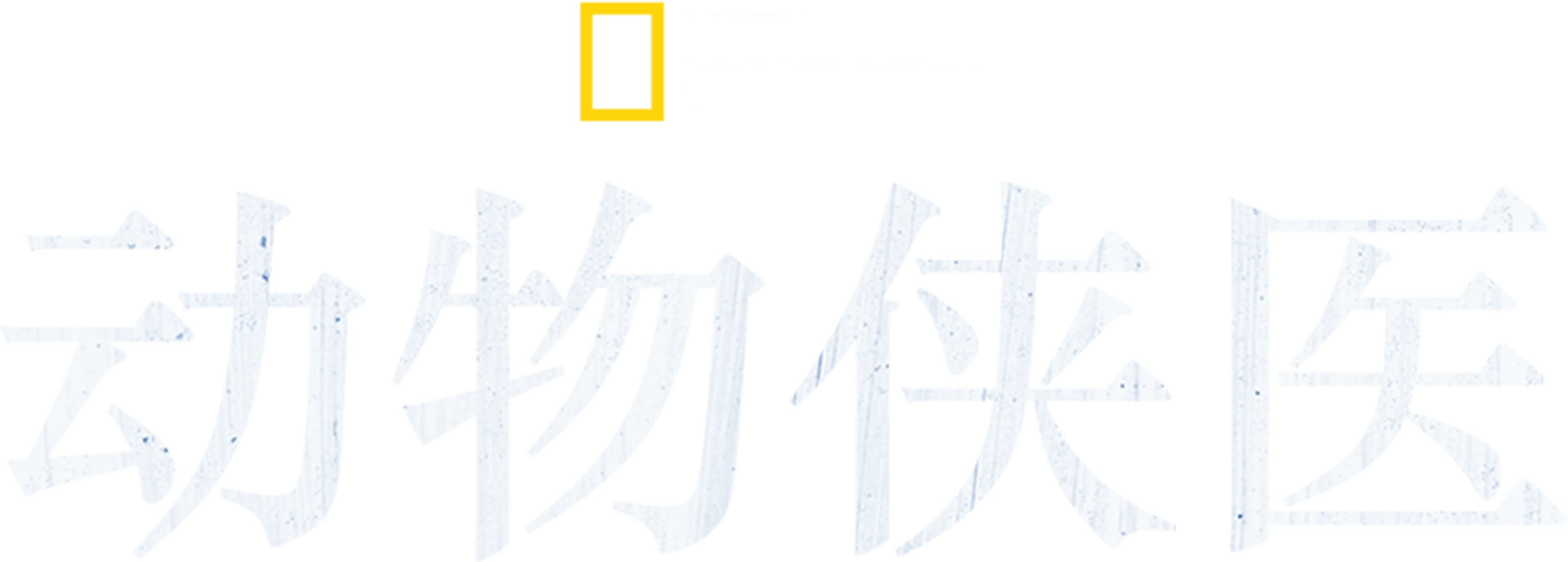 动物侠医