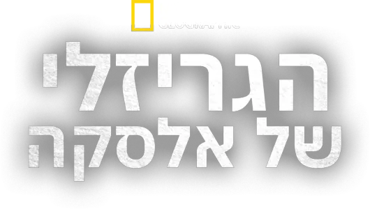 הגריזלי של אלסקה