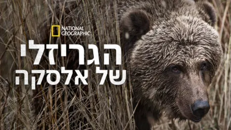 thumbnail - הגריזלי של אלסקה