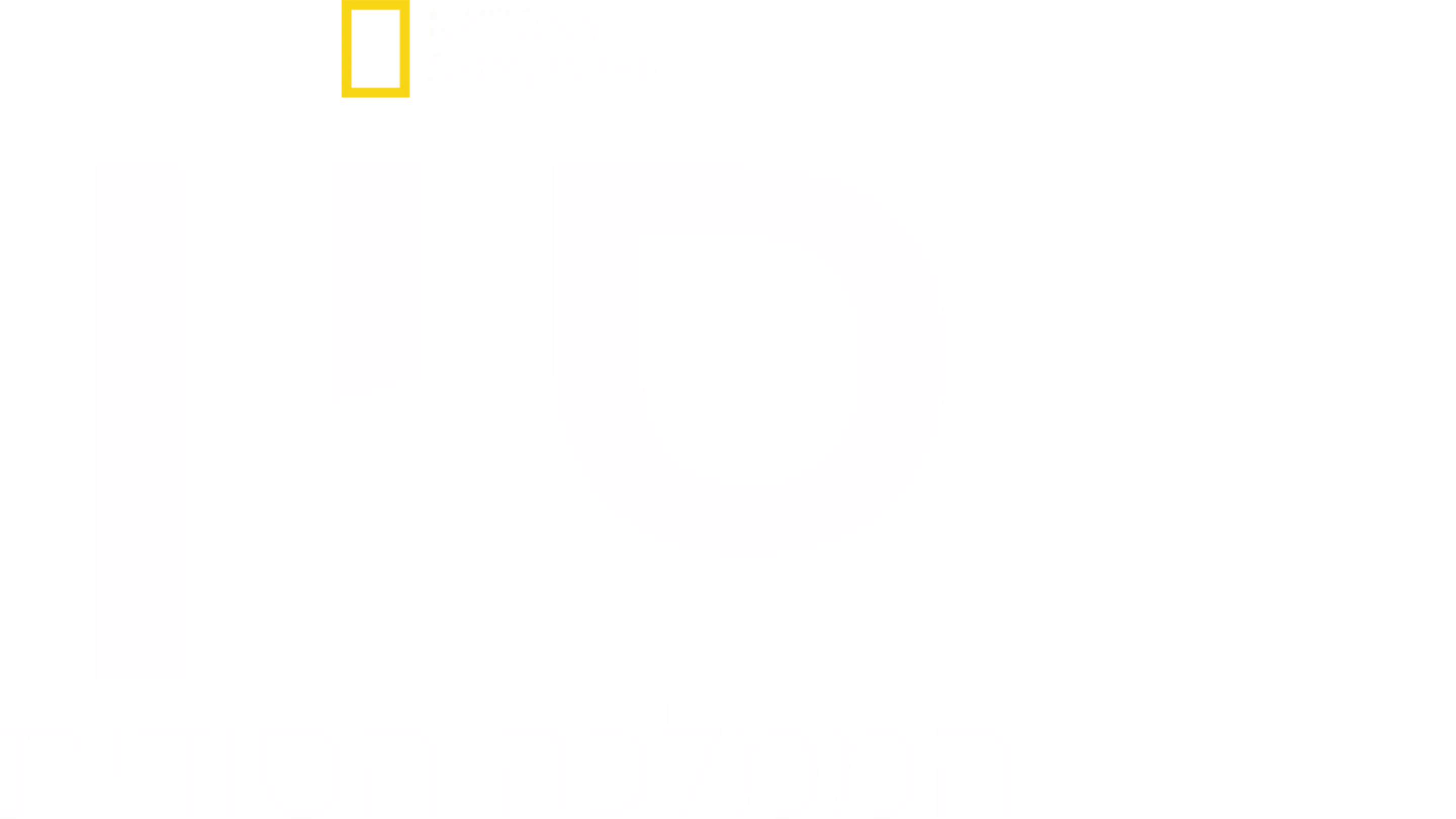 סין: הממלכה הסודית