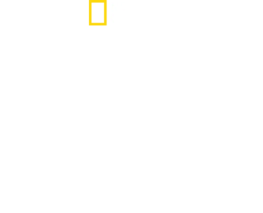 סין: הממלכה הסודית