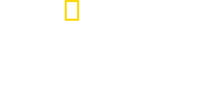 הערים האבודות עם אלברט לין