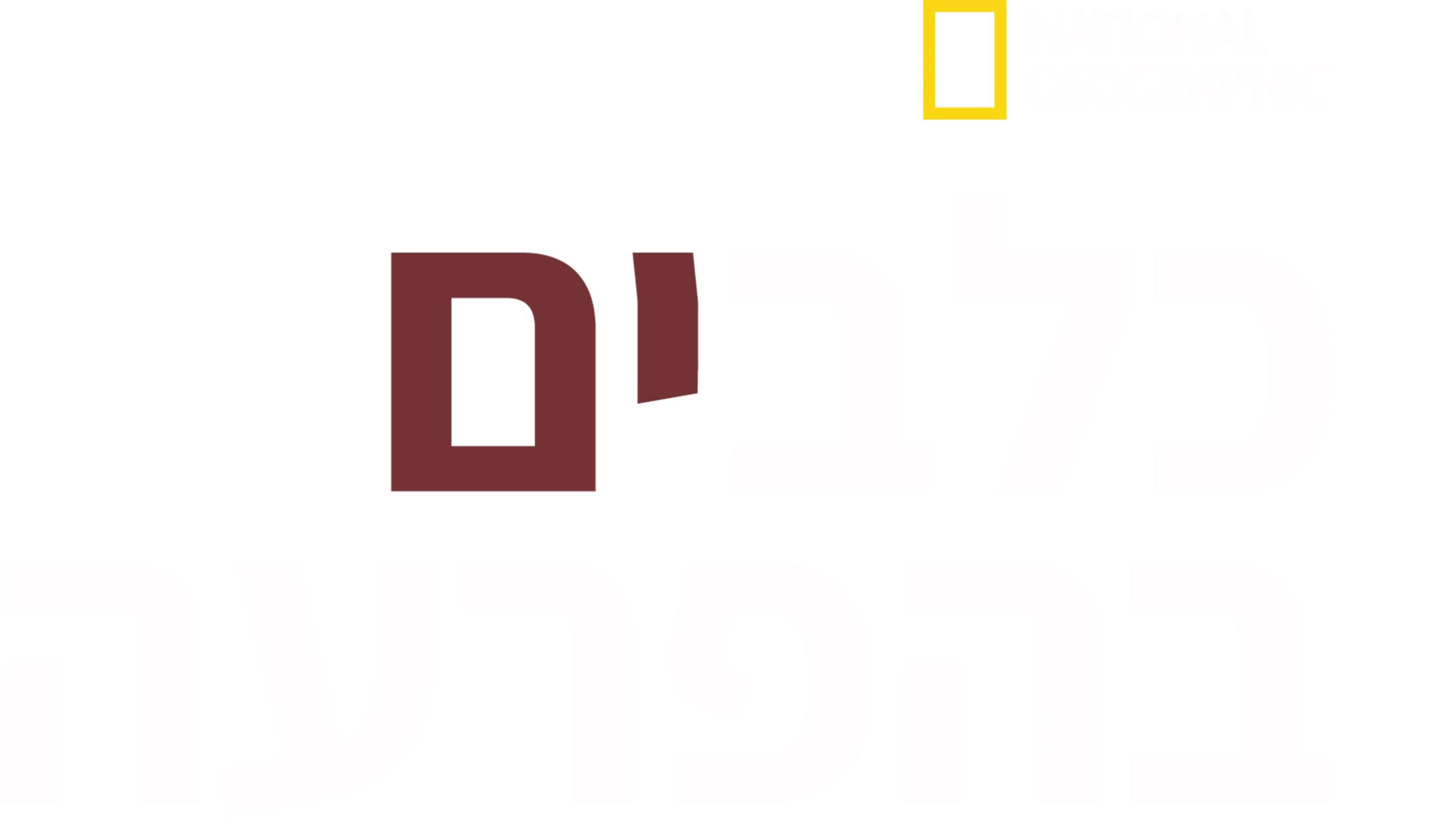 כלבים בהפרעה