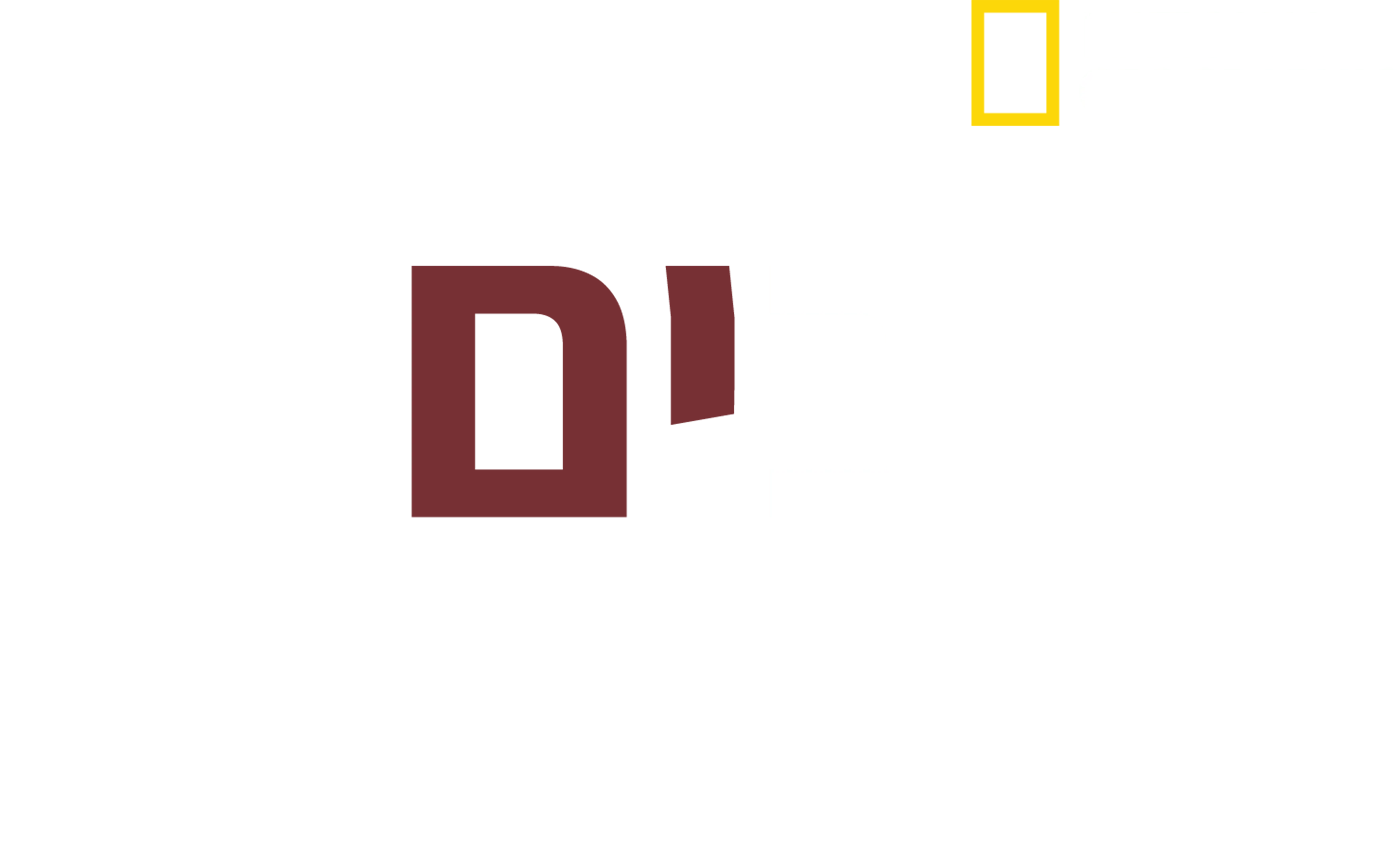 כלבים בהפרעה