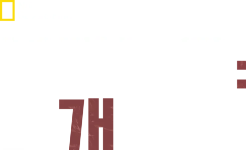 불가능은 없개