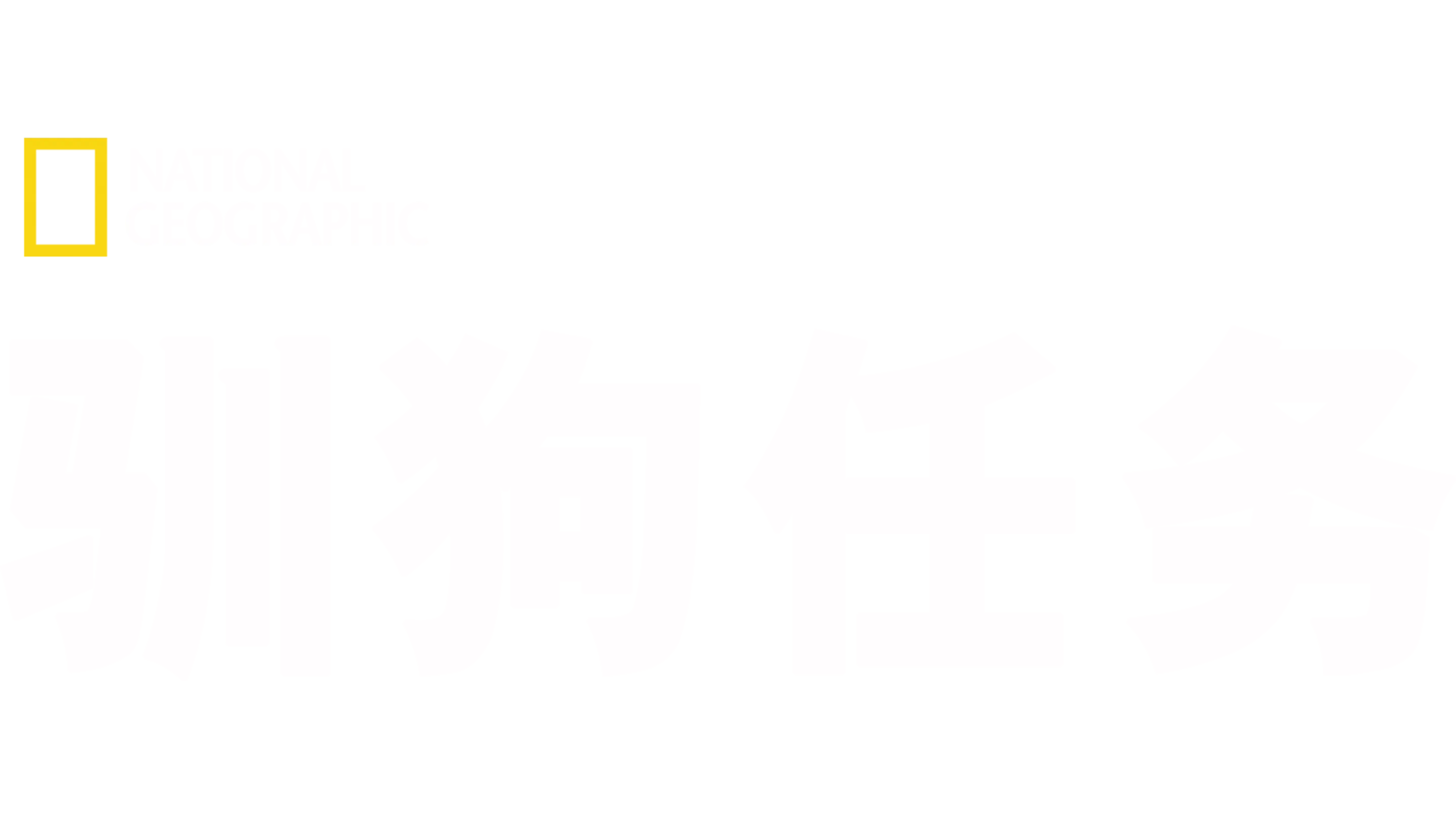 驯狗任务
