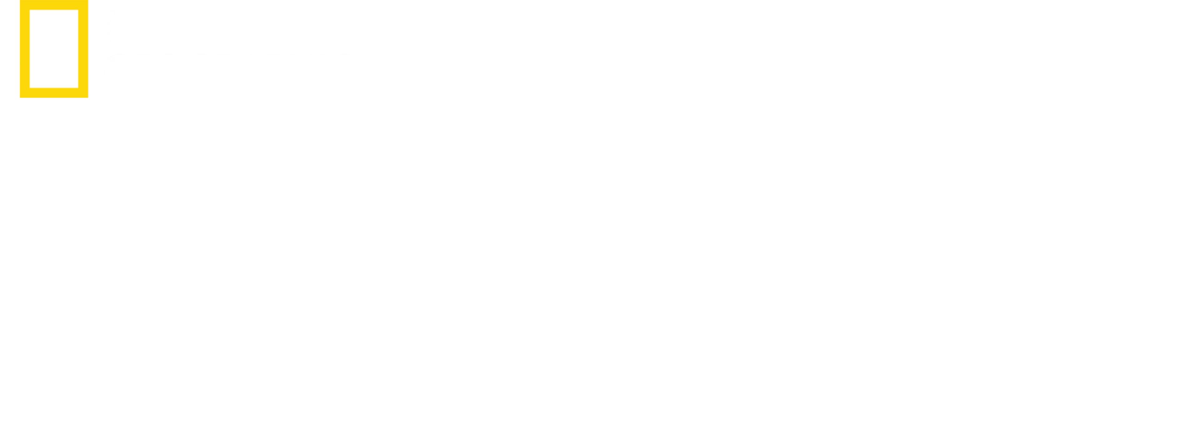 驯狗任务