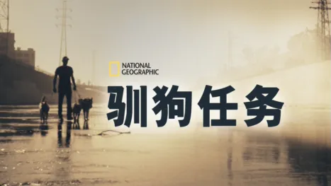 thumbnail - 驯狗任务