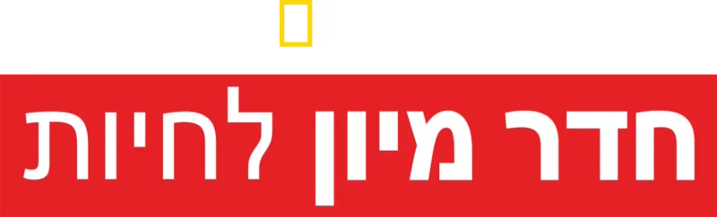 חדר מיון לחיות
